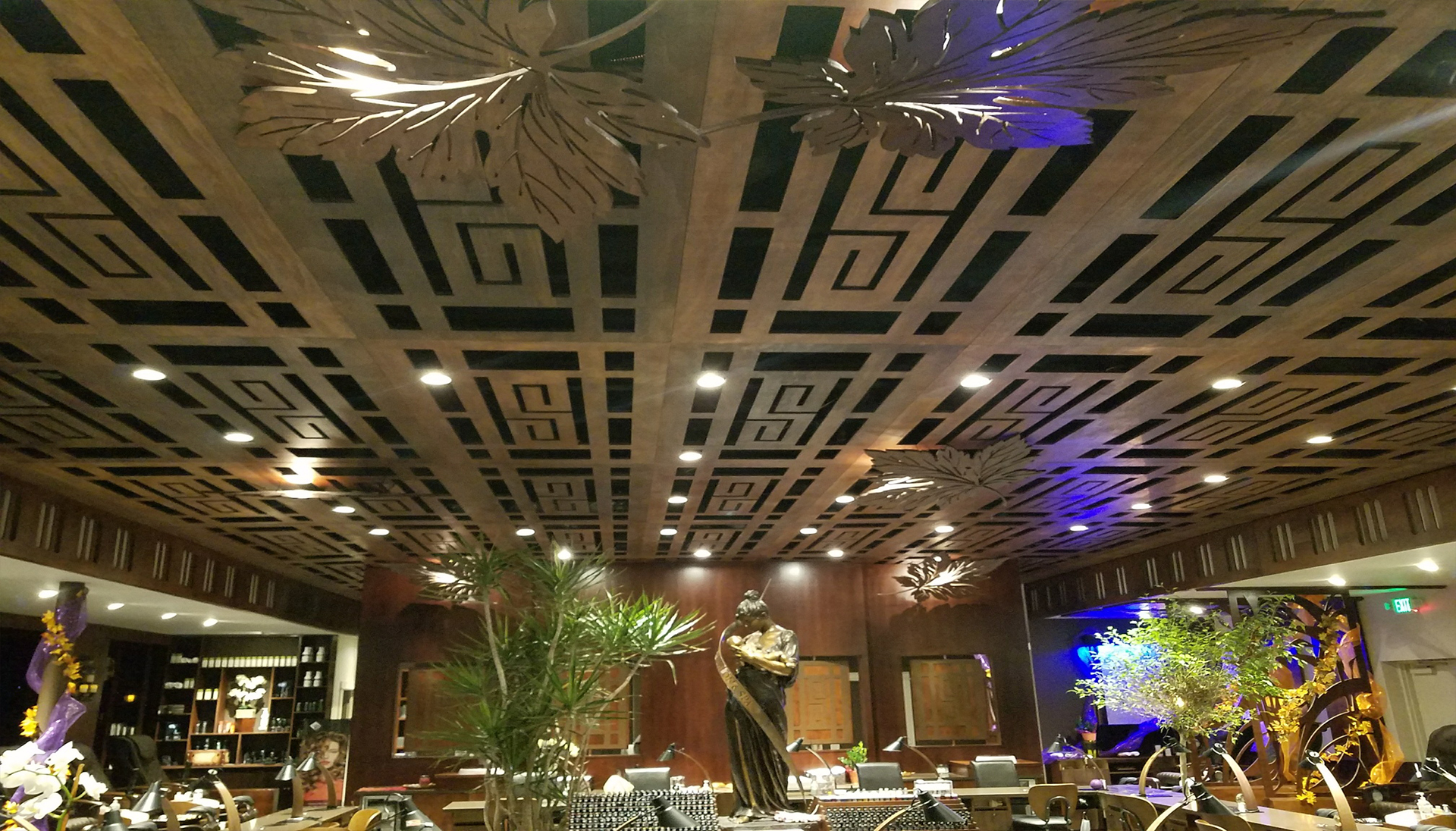 Iris Salon and Spa